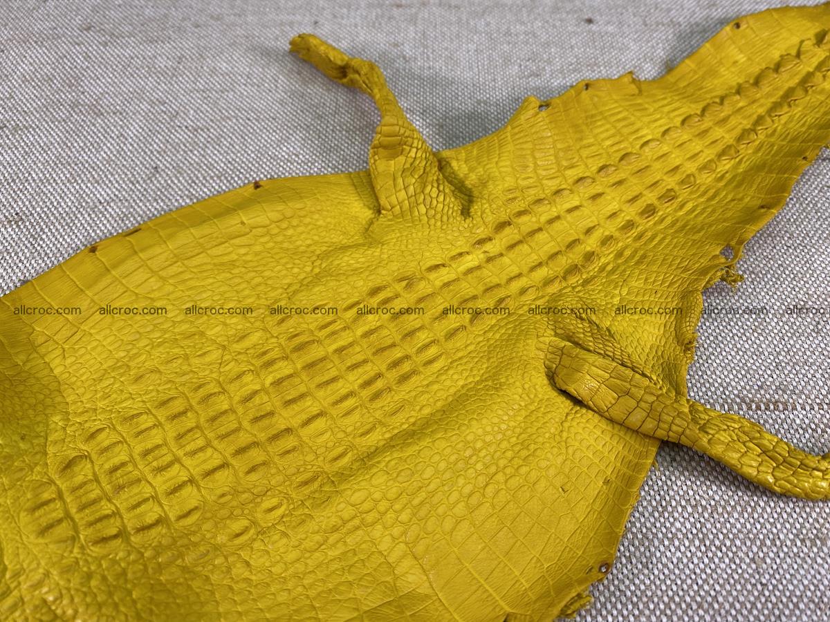 Crocodile skin back part with head and paws 16cm yellow color 1498 Foto 10