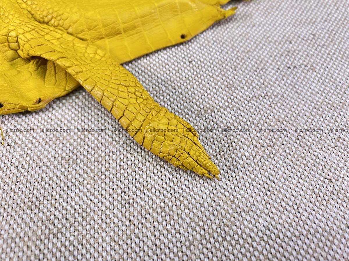Crocodile skin back part with head and paws 16cm yellow color 1498 Foto 9