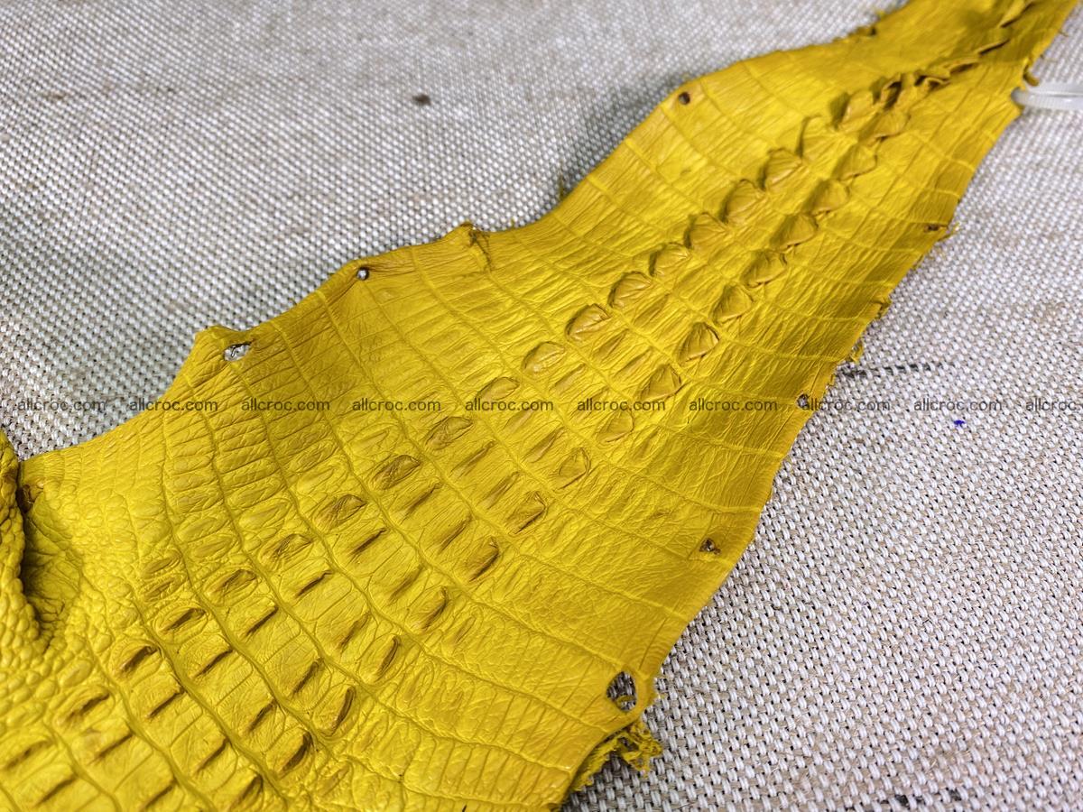 Crocodile skin back part with head and paws 16cm yellow color 1498 Foto 6