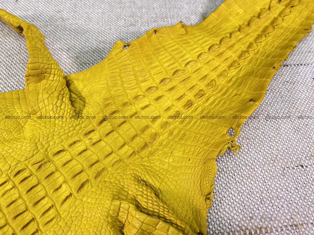 Crocodile skin back part with head and paws 16cm yellow color 1498 Foto 14