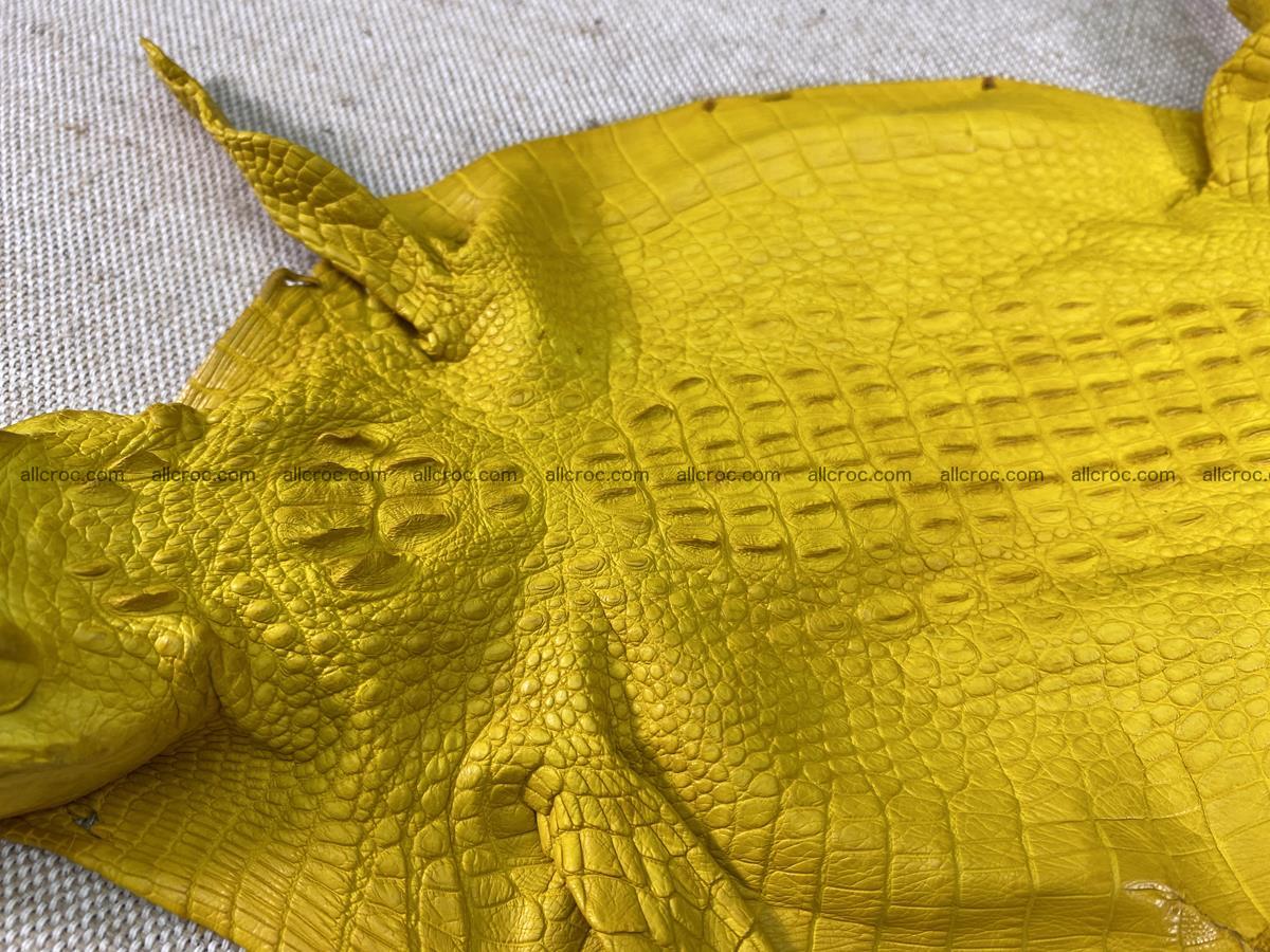 Crocodile skin back part with head and paws 16cm yellow color 1498 Foto 4