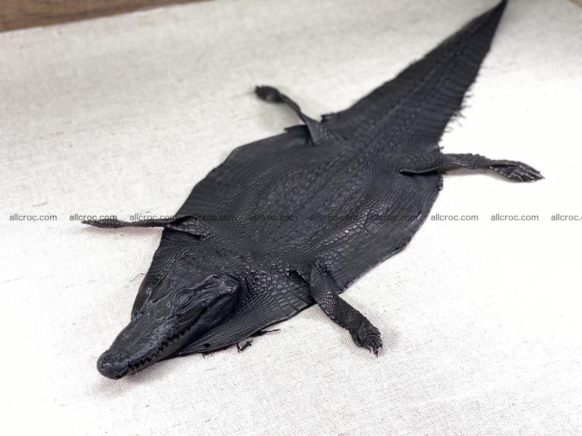 Crocodile skin back part with head and paws 24cm black color 1491 Foto 1