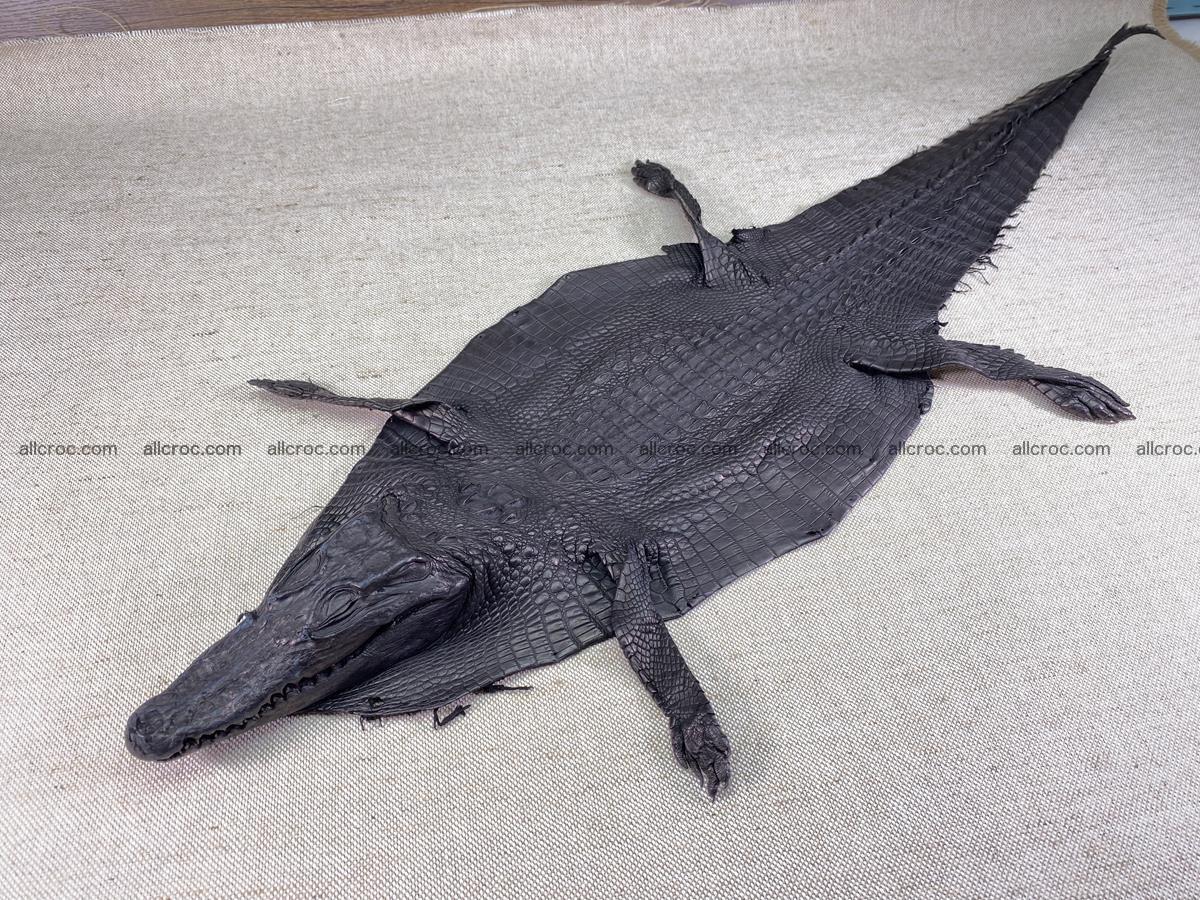 Crocodile skin back part with head and paws 24cm black color 1491 Foto 2