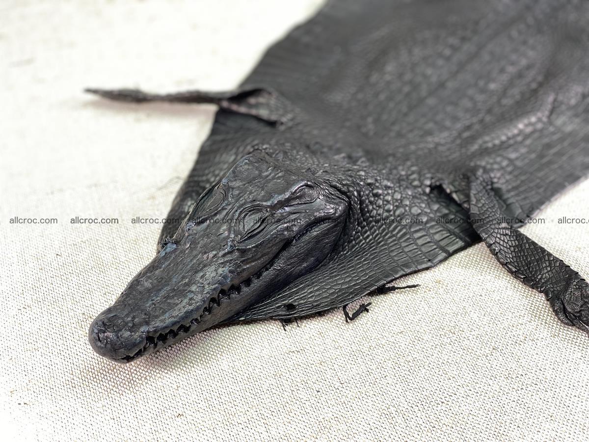 Crocodile skin back part with head and paws 24cm black color 1491 Foto 0