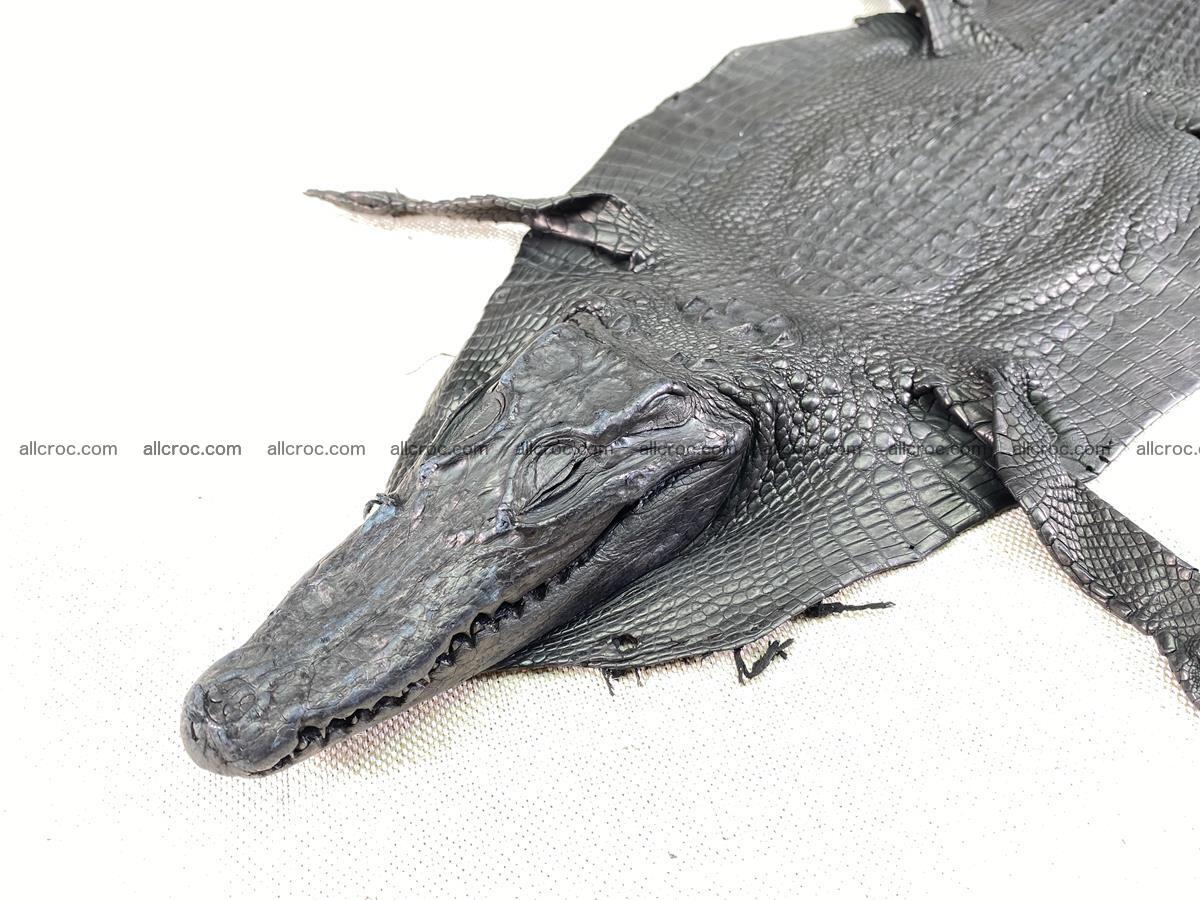 Crocodile skin back part with head and paws 24cm black color 1491 Foto 4