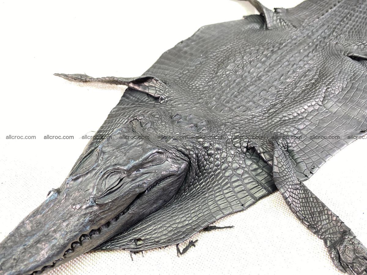 Crocodile skin back part with head and paws 24cm black color 1491 Foto 5