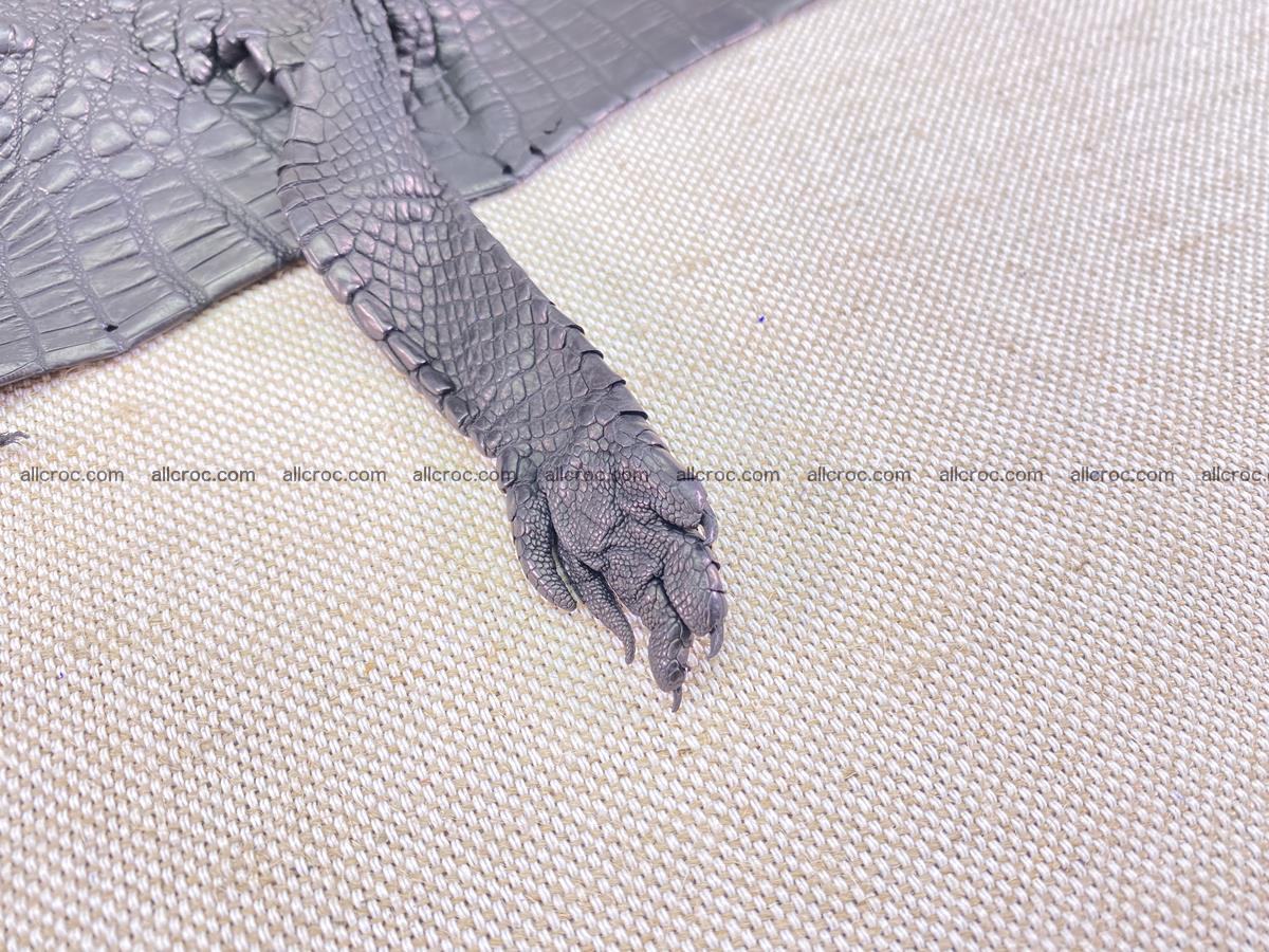 Crocodile skin back part with head and paws 24cm black color 1491 Foto 10