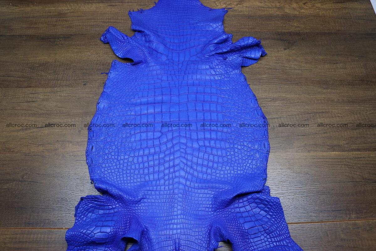 Crocodile skin belly blue color 1224 Foto 0