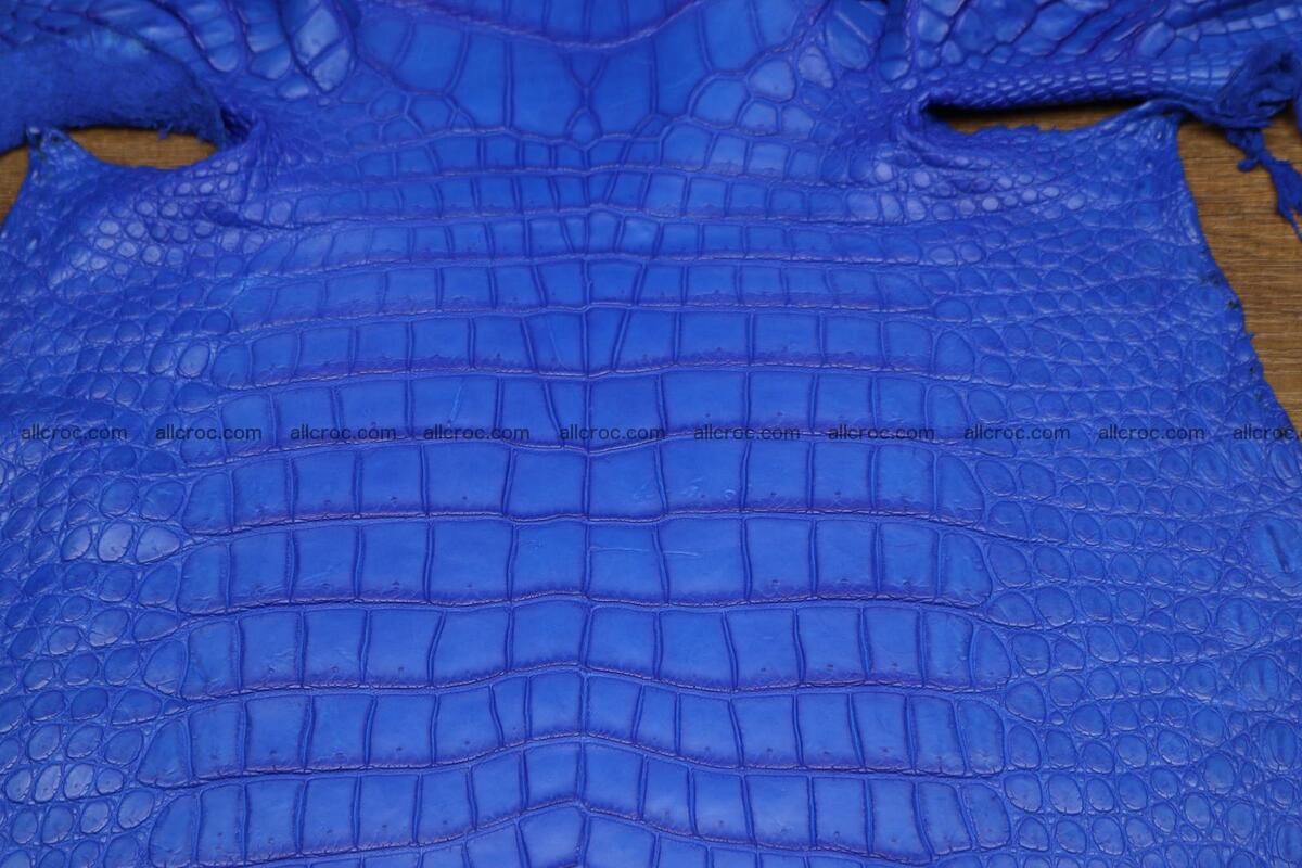 Crocodile skin belly blue color 1225 Foto 1