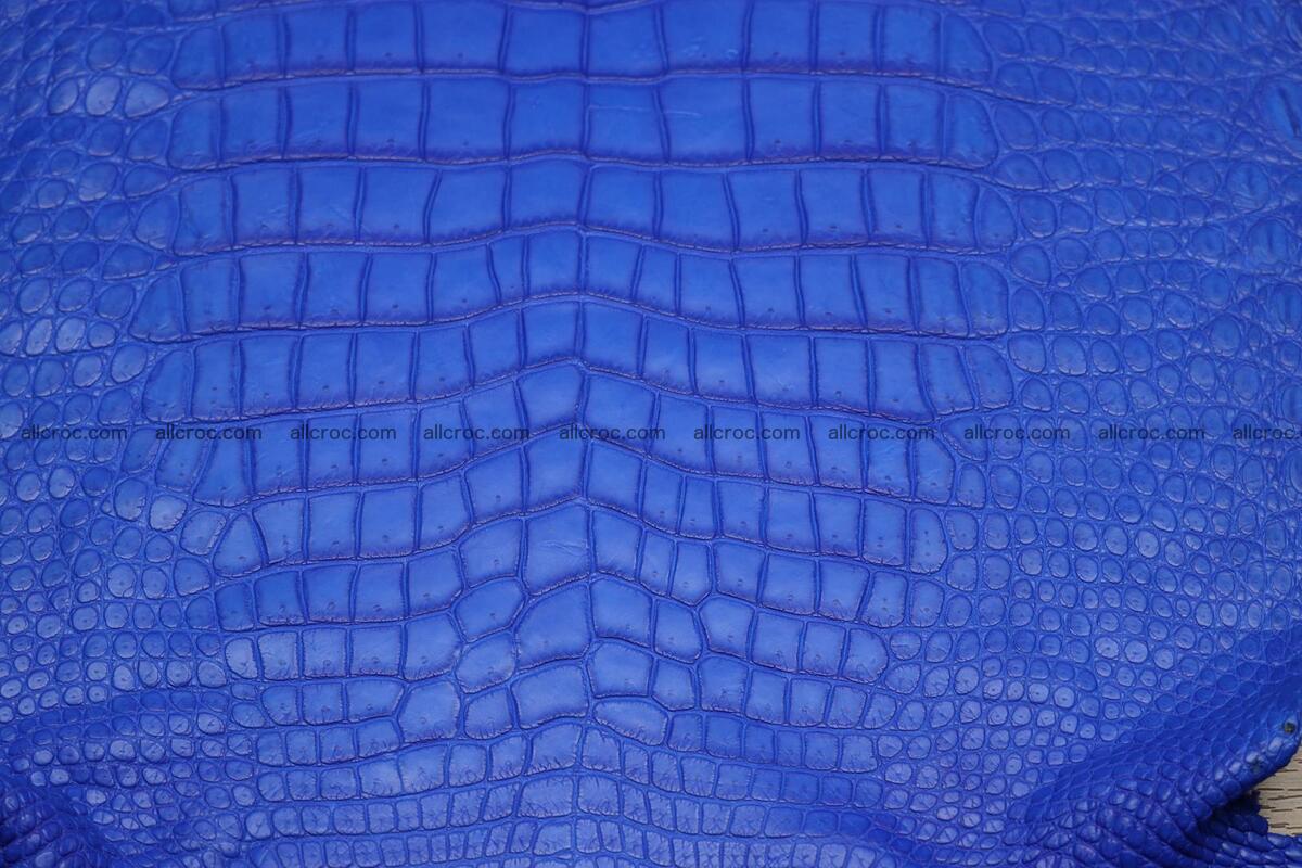 Crocodile skin belly blue color 1225 Foto 2