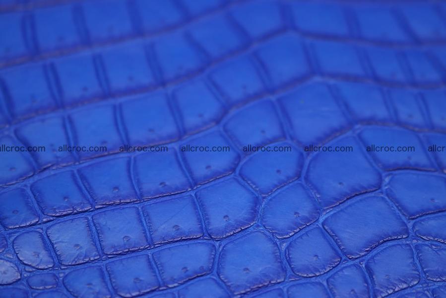 Crocodile skin belly blue color 1225