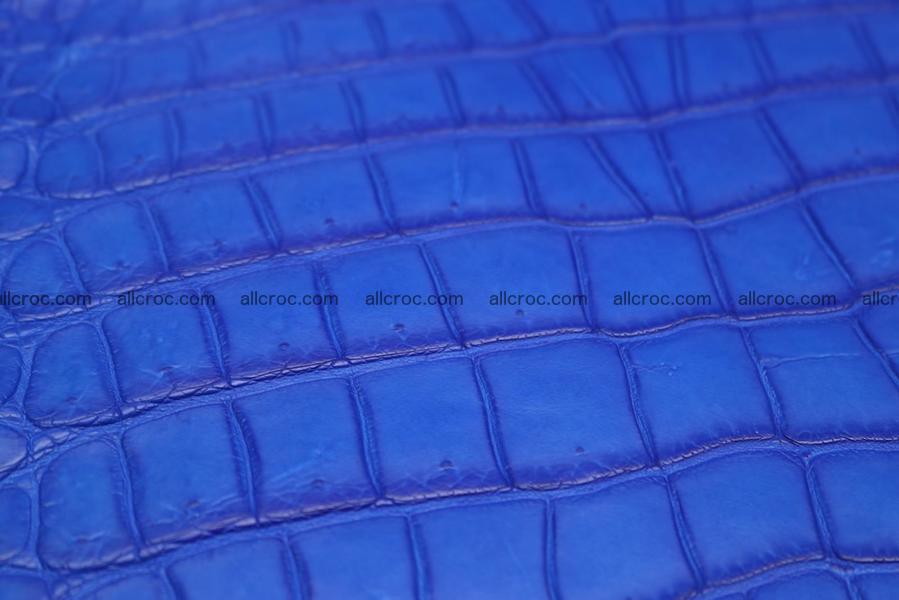 Crocodile skin belly blue color 1225