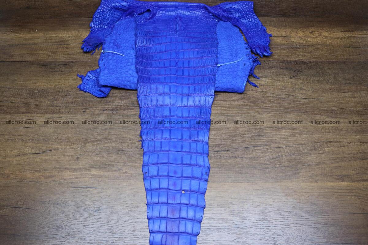 Crocodile skin belly blue color 1225 Foto 5