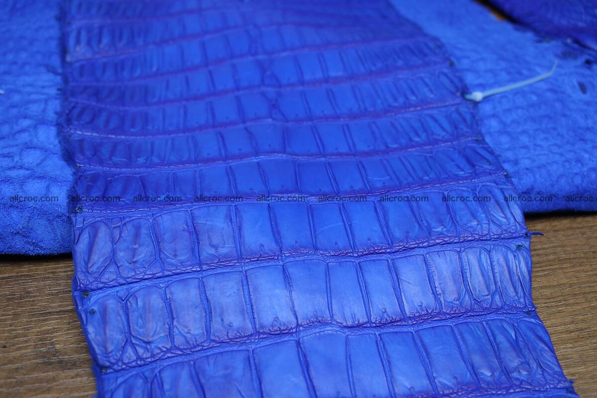 Crocodile skin belly blue color 1225 Foto 6