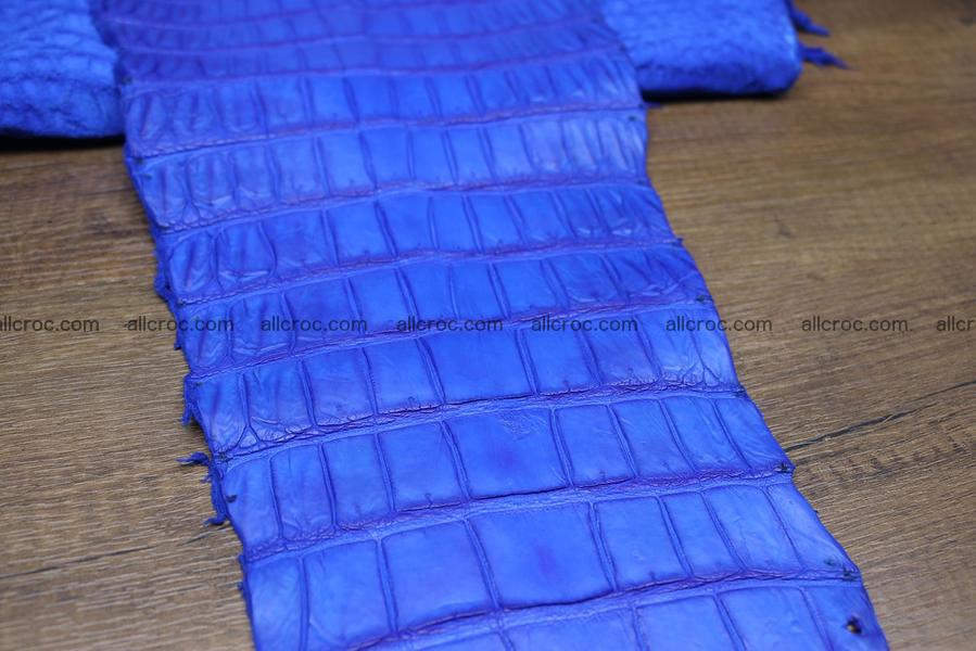 Crocodile skin belly blue color 1225