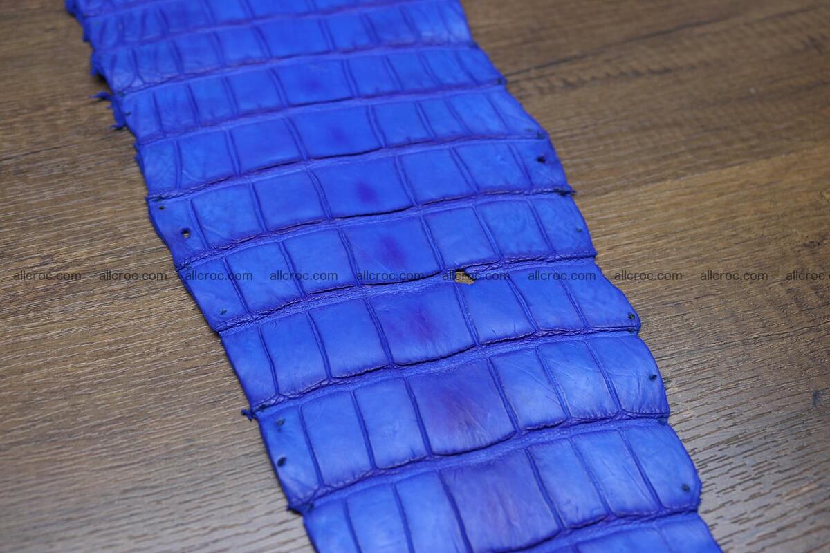 Crocodile skin belly blue color 1225 Foto 8