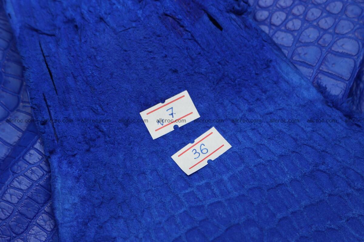Crocodile skin belly blue color 1225 Foto 9