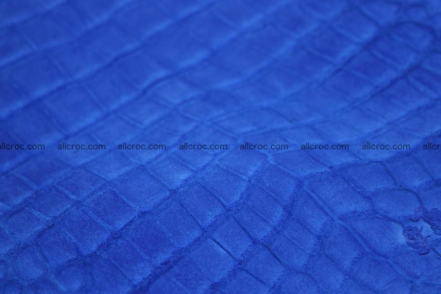 Crocodile skin belly blue color 1225