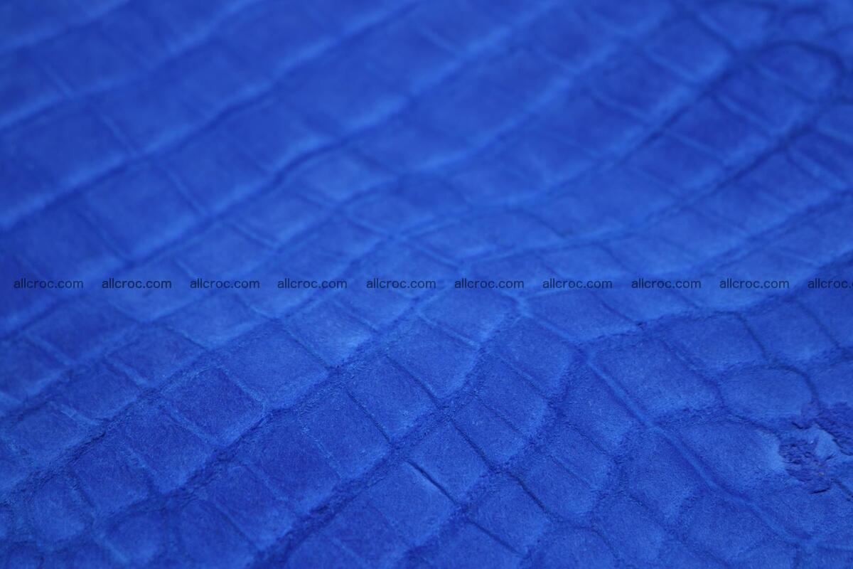 Crocodile skin belly blue color 1224 Foto 8