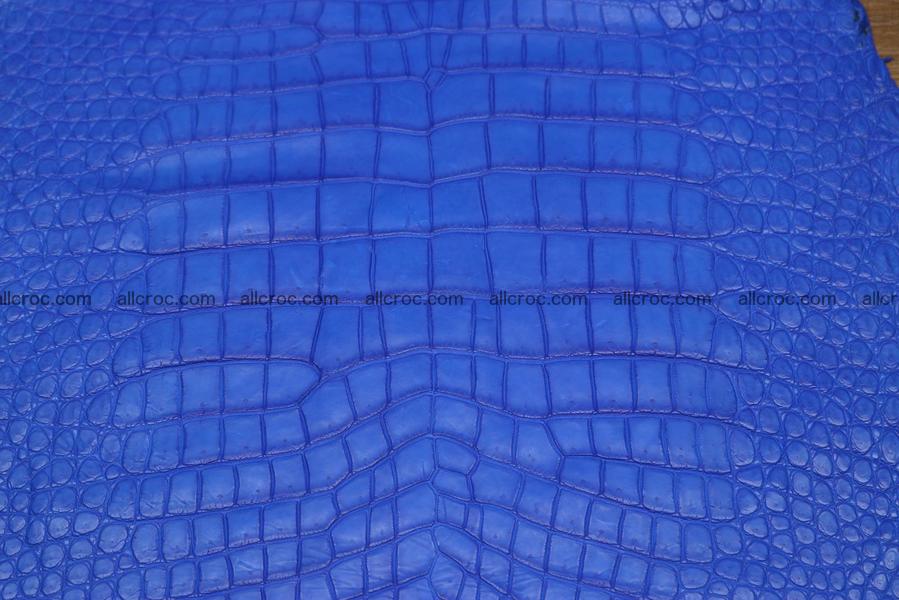 Crocodile skin belly blue color 1224