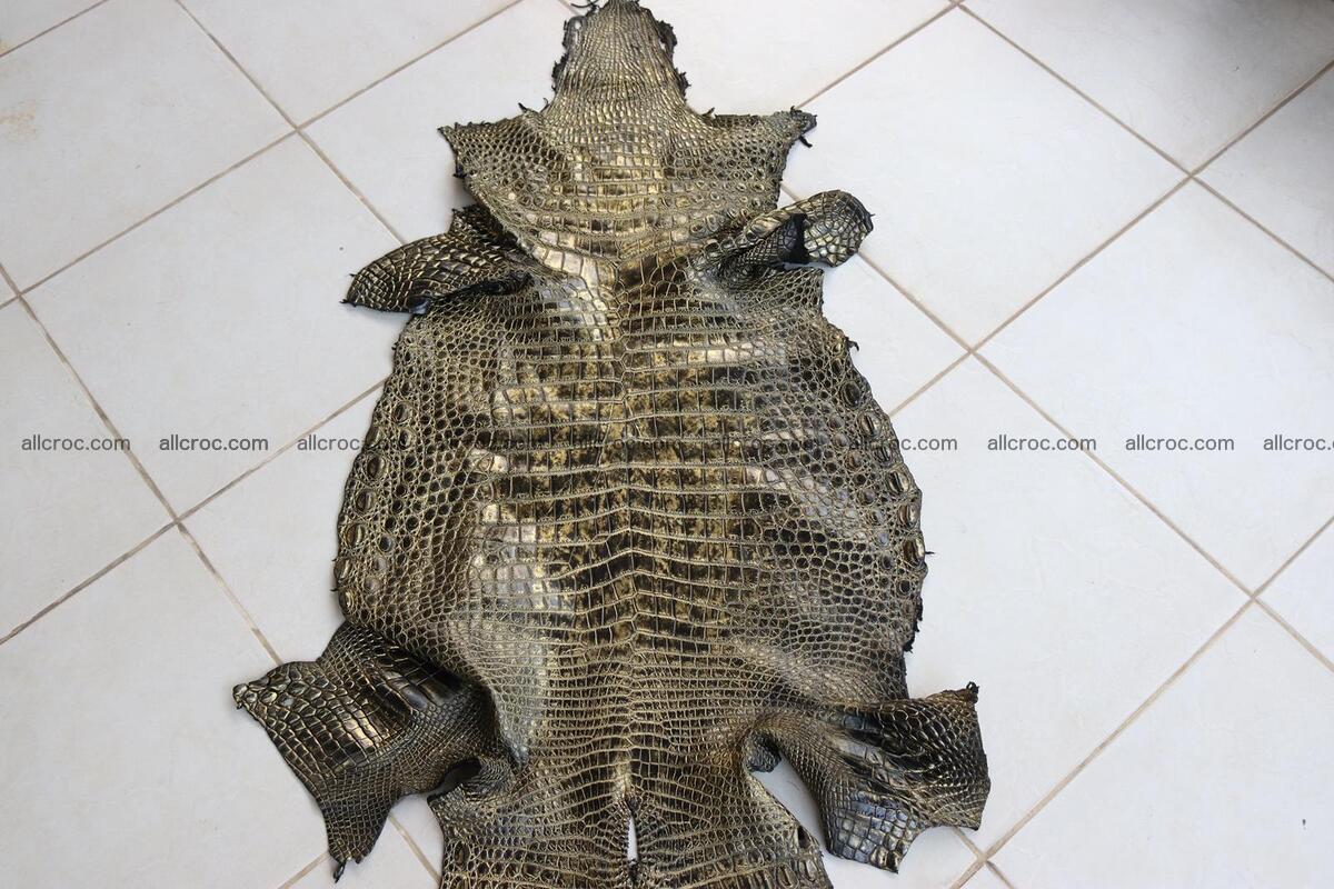 Crocodile skin belly brush off gold color 1226 Foto 0