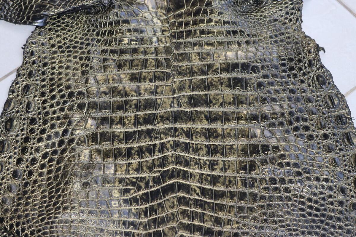 Crocodile skin belly brush off gold color 1226 Foto 1