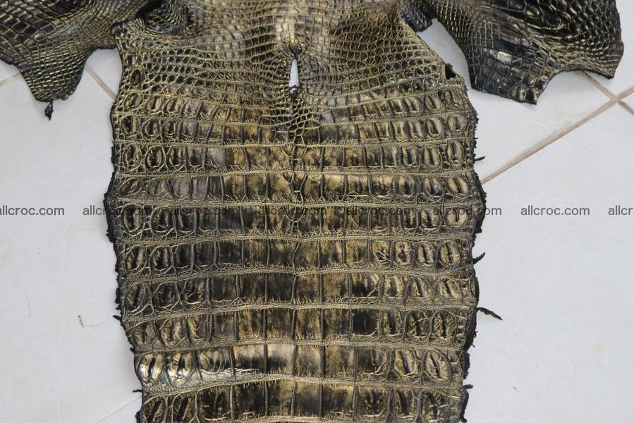 Crocodile skin belly brush off gold color 1226