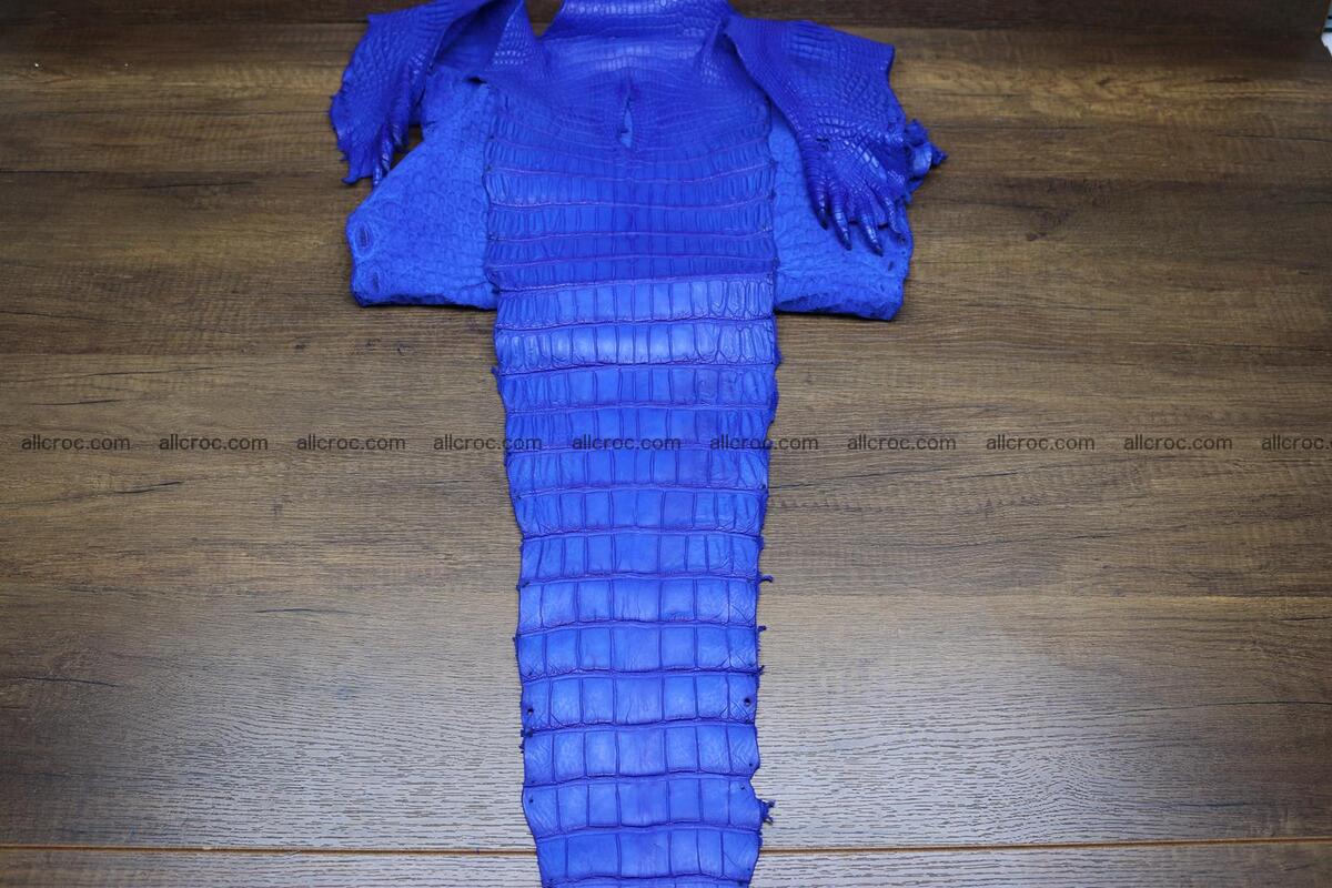 Crocodile skin belly blue color 1224 Foto 3