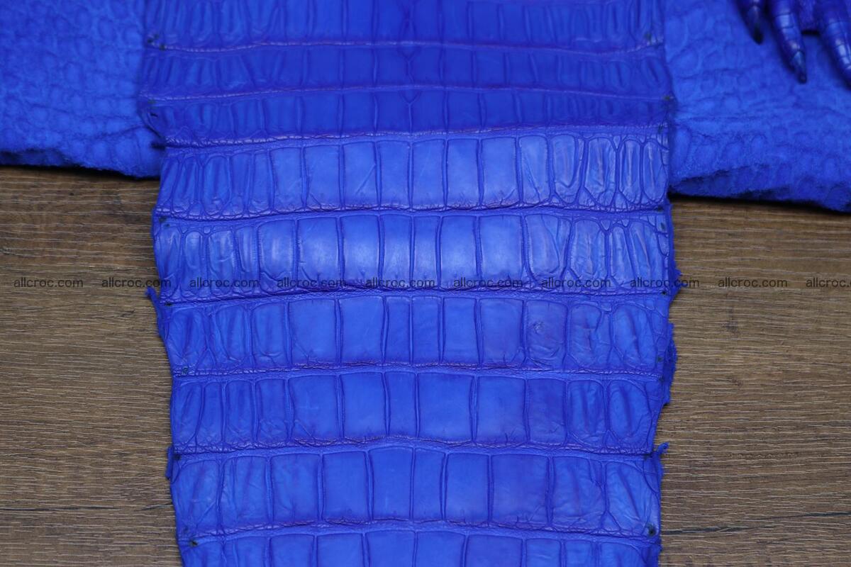 Crocodile skin belly blue color 1224 Foto 4