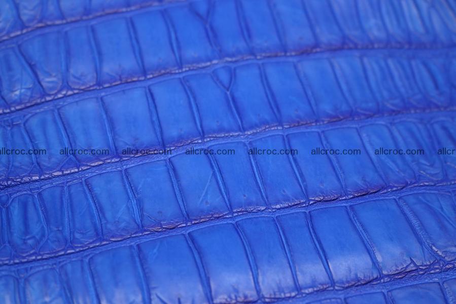 Crocodile skin belly blue color 1224