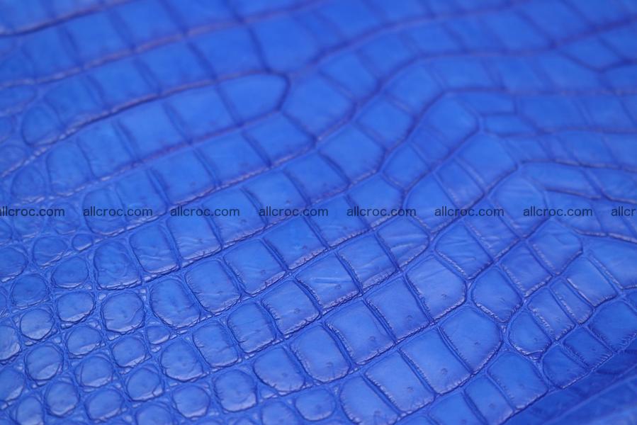 Crocodile skin belly blue color 1224