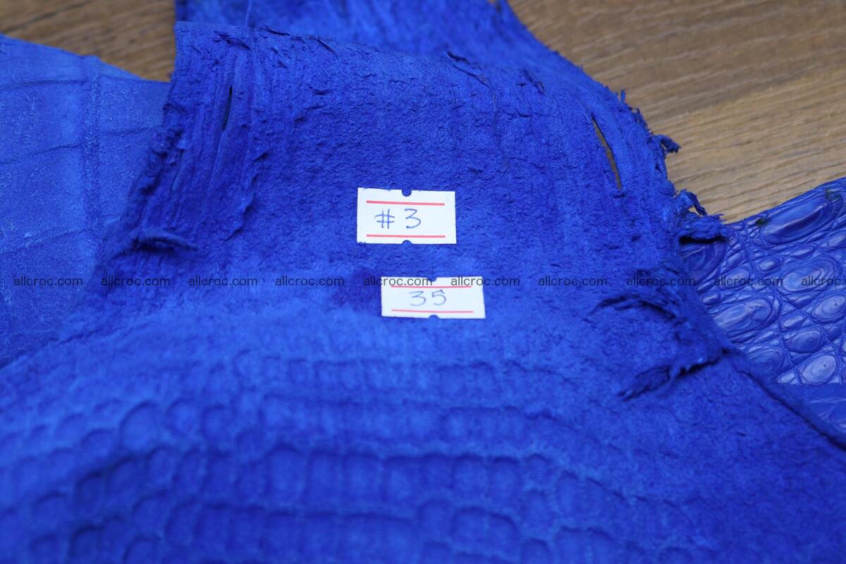 Crocodile skin belly blue color 1224 Foto 7