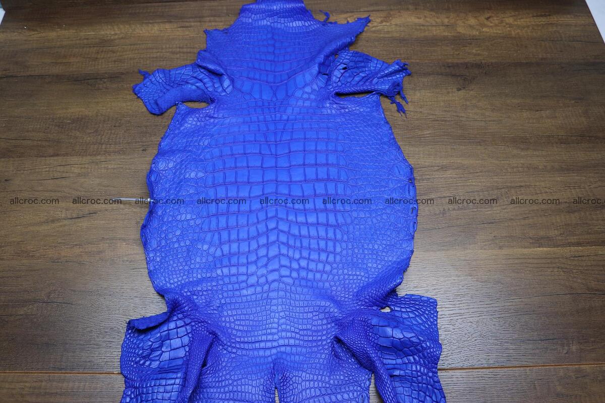 Crocodile skin belly blue color 1225 Foto 0