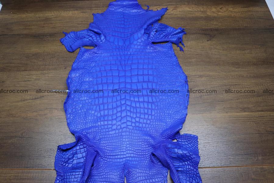 Crocodile skin belly blue color 1225