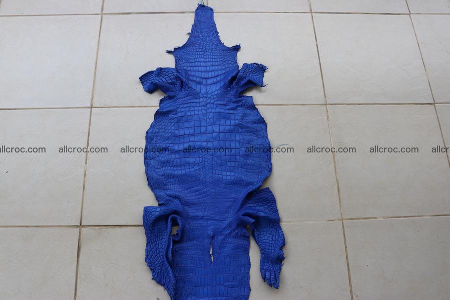 Crocodile skin belly blue color 1256