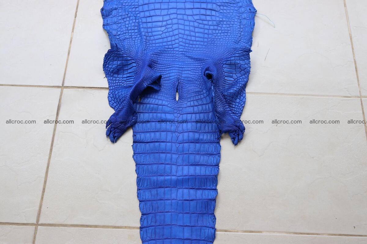 Crocodile skin belly blue color 1254 Foto 2