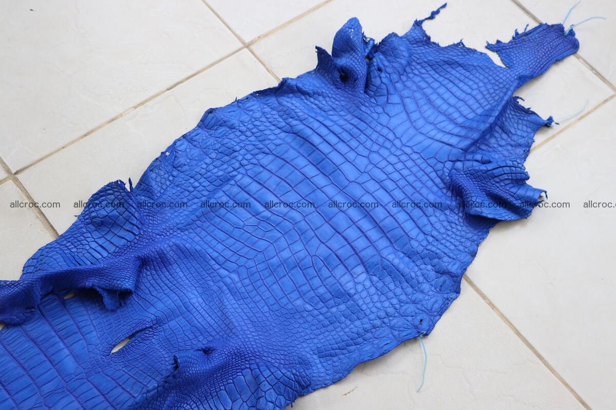 Crocodile skin belly blue color 1254 Foto 4