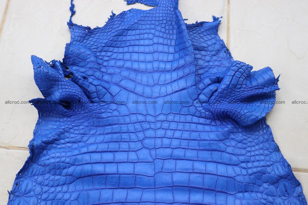Crocodile skin belly blue color 1254 Foto 5