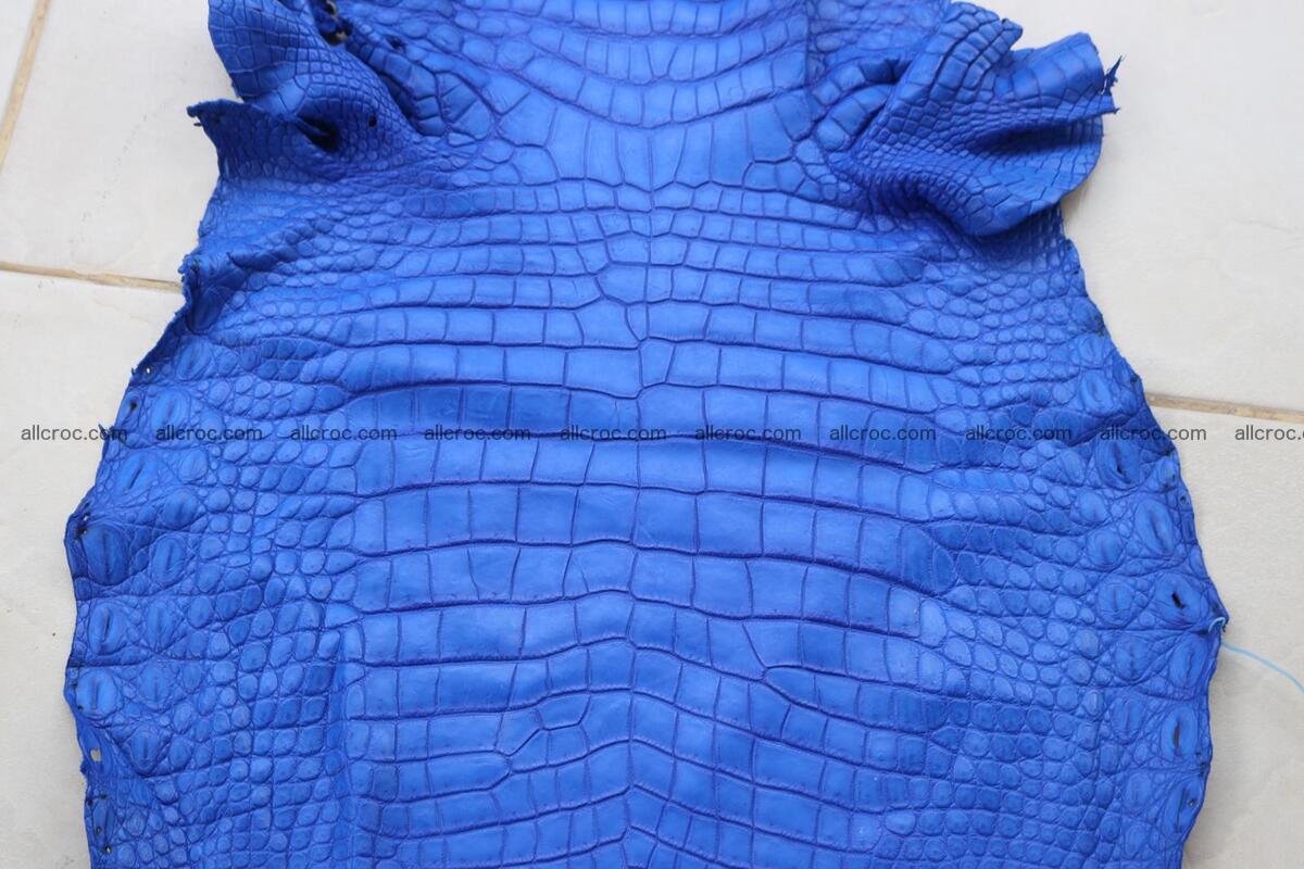 Crocodile skin belly blue color 1254 Foto 6