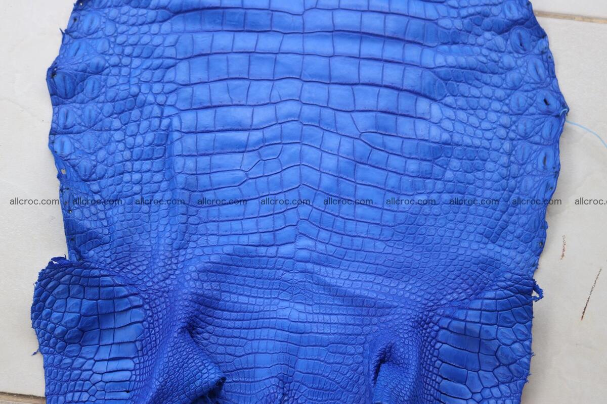 Crocodile skin belly blue color 1254 Foto 7
