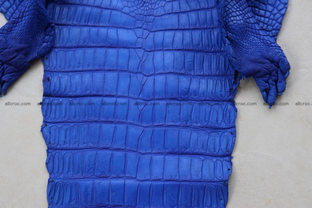 Crocodile skin belly blue color 1254 Foto 9