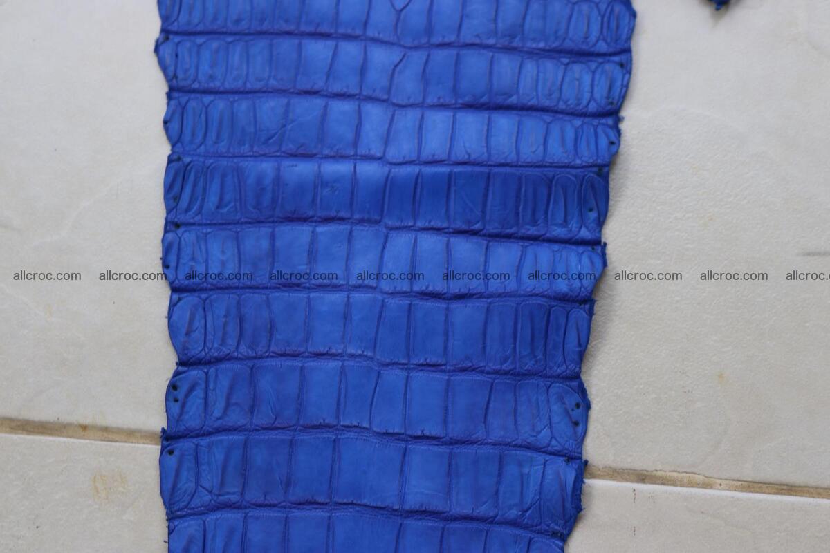 Crocodile skin belly blue color 1254 Foto 10