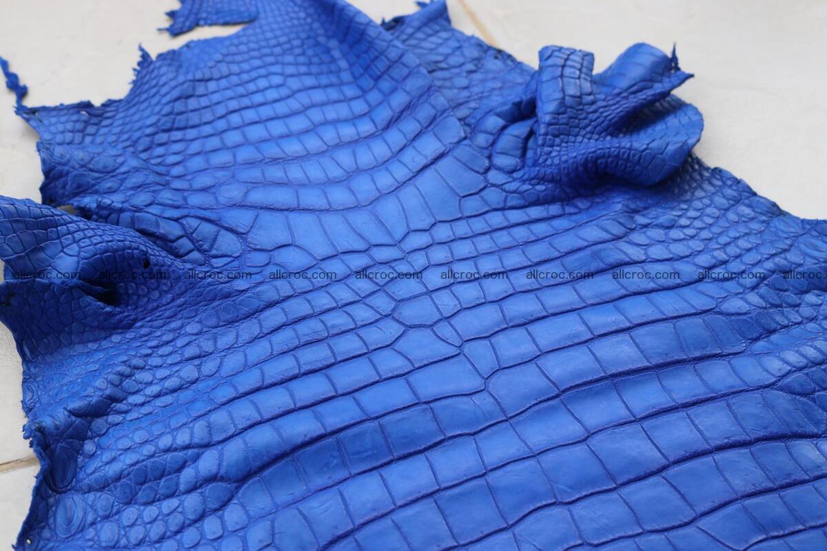 Crocodile skin belly blue color 1254 Foto 11