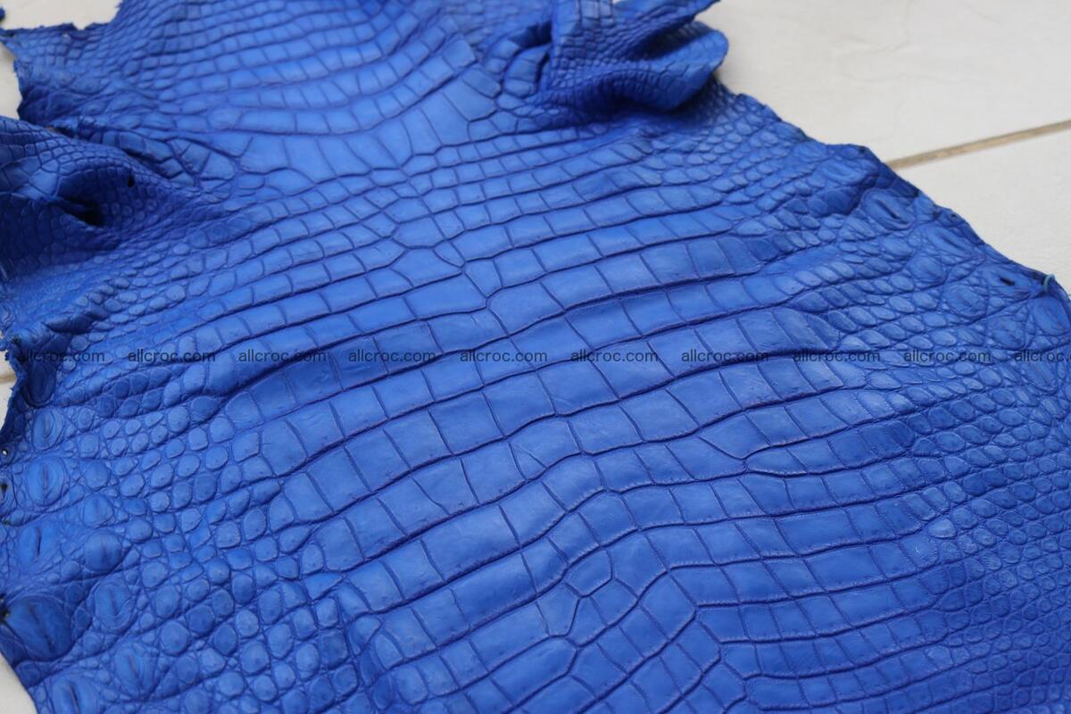 Crocodile skin belly blue color 1254 Foto 12