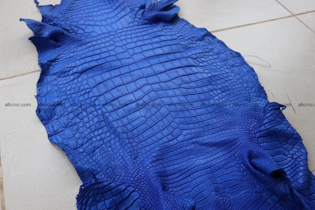 Crocodile skin belly blue color 1254 Foto 13