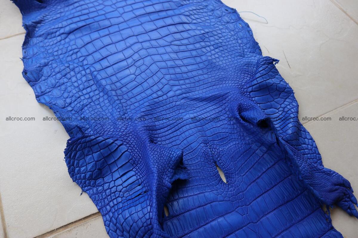 Crocodile skin belly blue color 1254 Foto 14