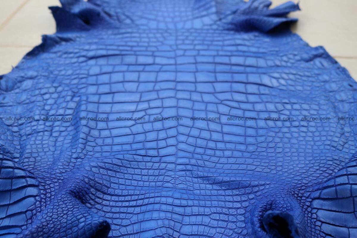 Crocodile skin belly blue color 1254 Foto 15