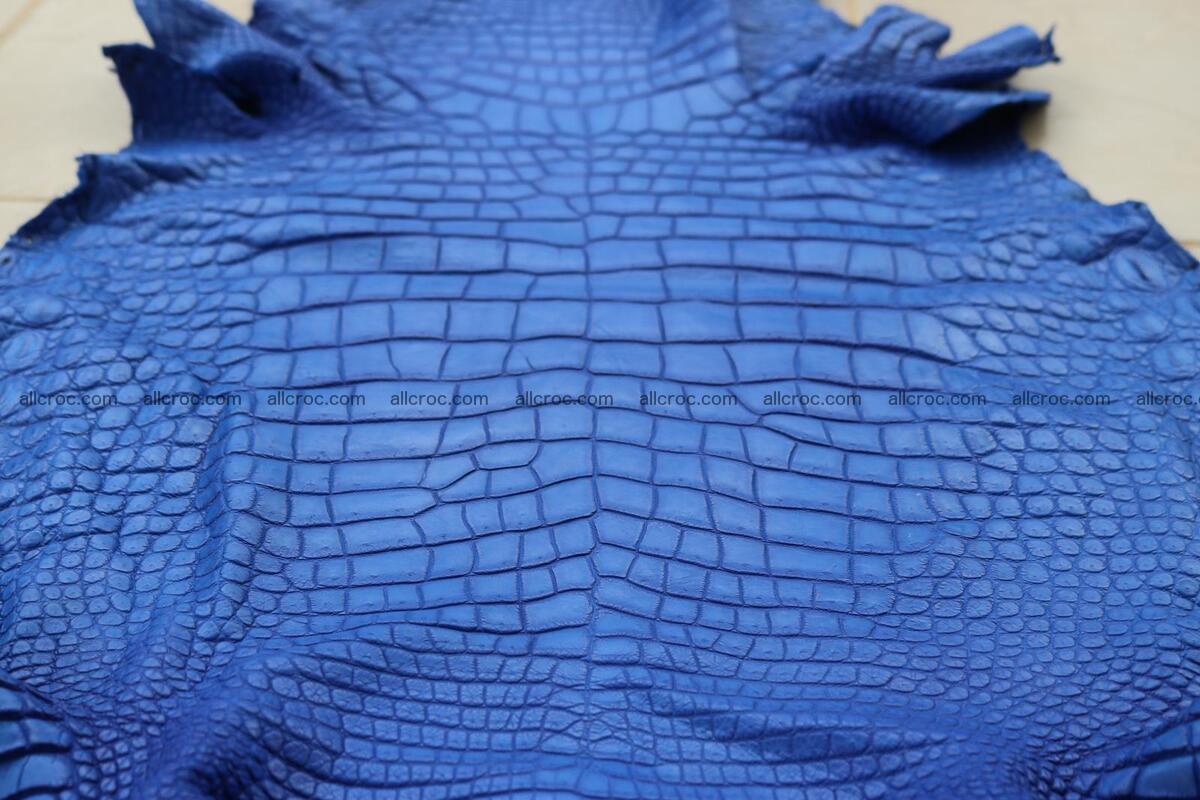 Crocodile skin belly blue color 1254 Foto 16