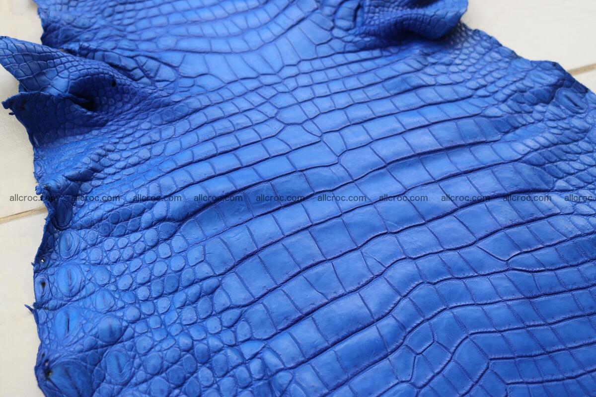 Crocodile skin belly blue color 1254 Foto 17