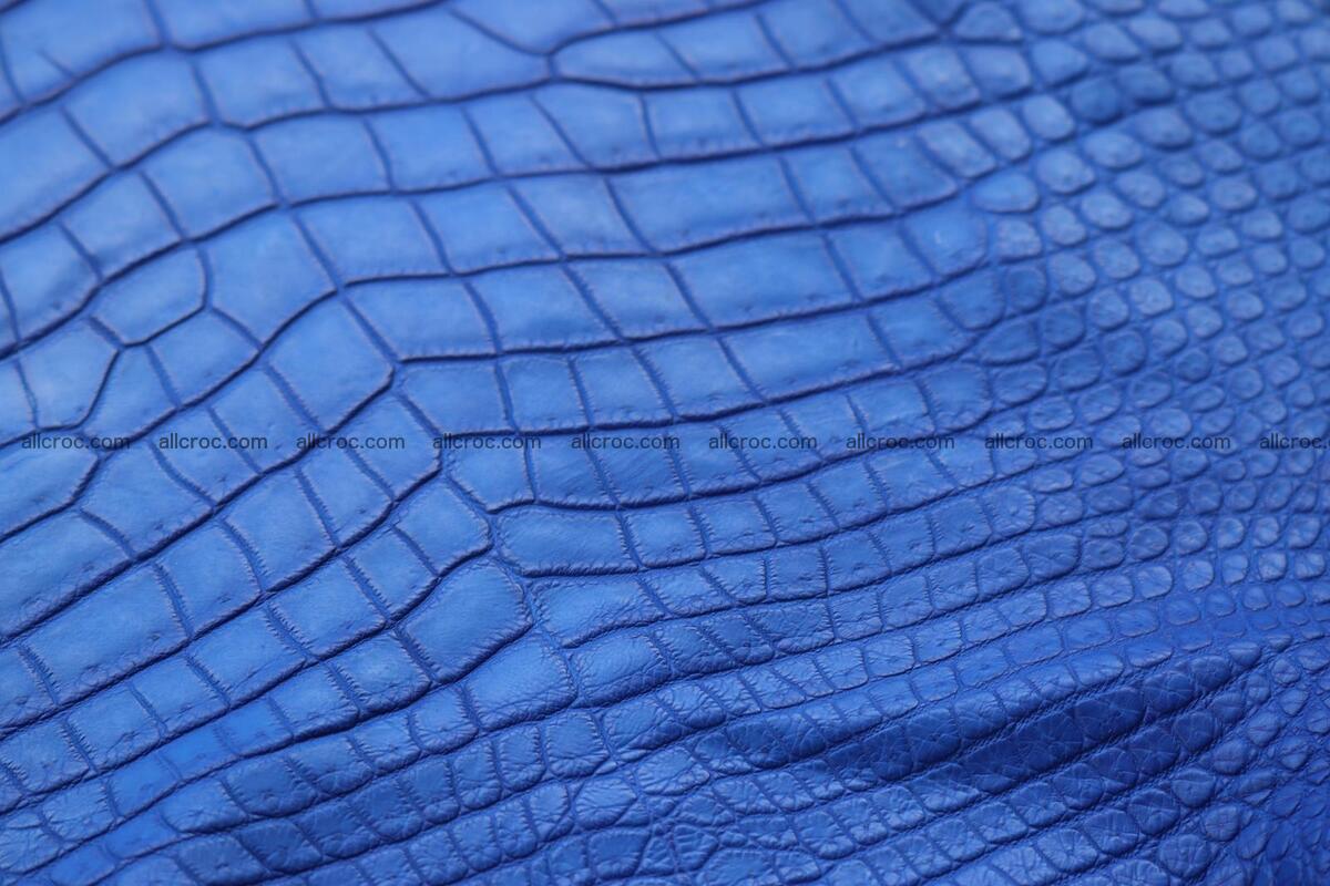 Crocodile skin belly blue color 1254 Foto 20